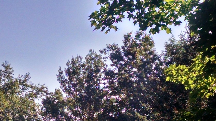 IMG_20140814_084435201_HDR