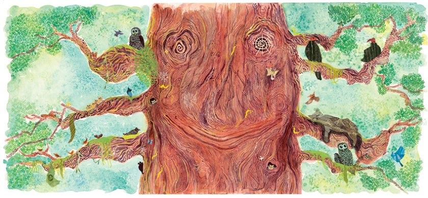 Jenny's illustration1