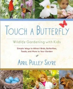 touch_a_butterfly1.5xthyfar6i4o0c4880wc040wo.6rp47j9nyi8s04sk0s0oows0s.th