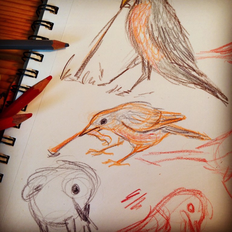 Animation, Illustration and Writing – Part 3: Observation – WRITERS' RUMPUS