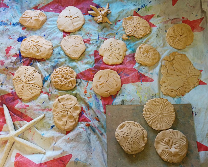 PreK made sand dollars of self hardening clay.