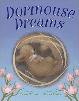 dormouse-dreams