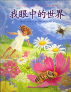 All Around Me chinese cover