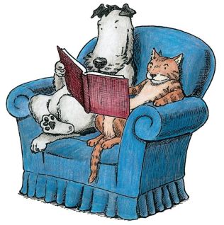 dog and cat in chair image