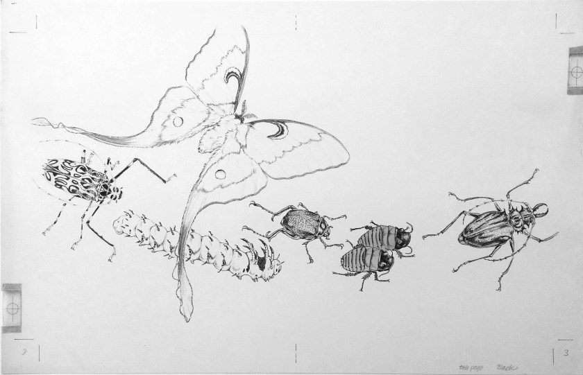 Color Separations bl