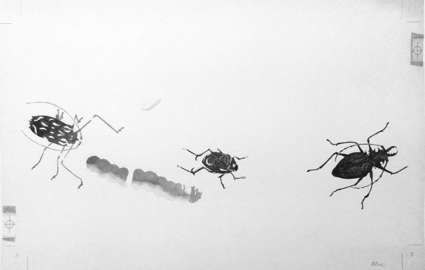 W Color Separation cy