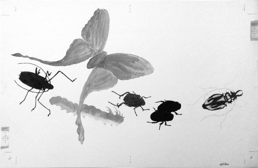 W Color Separation ye