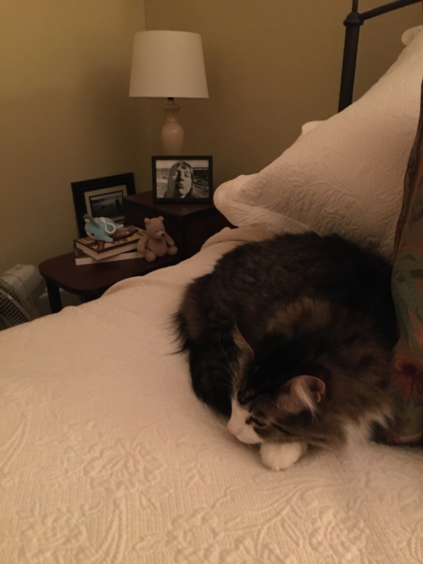 5e1933058a138821058b456a