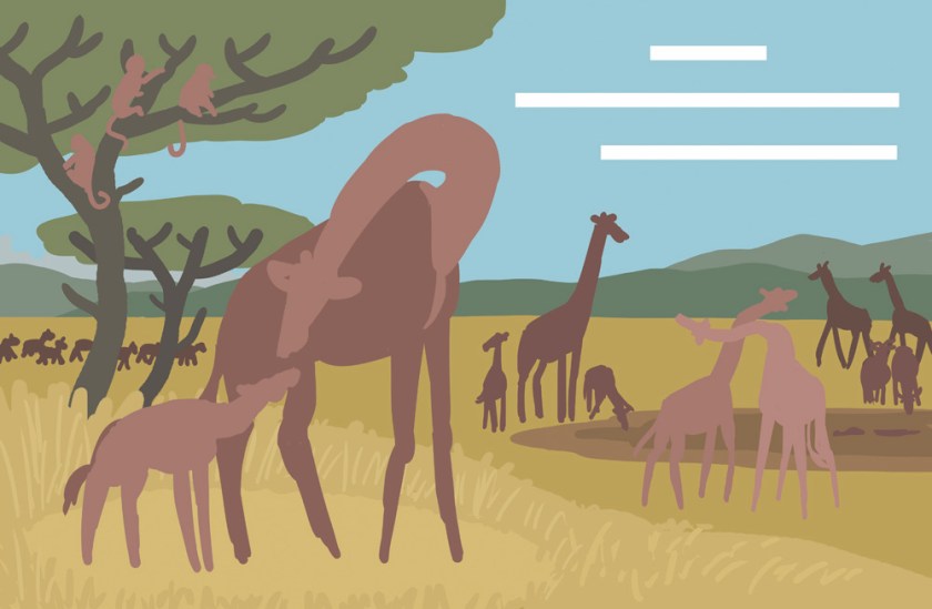 W-Basic Color Blocking