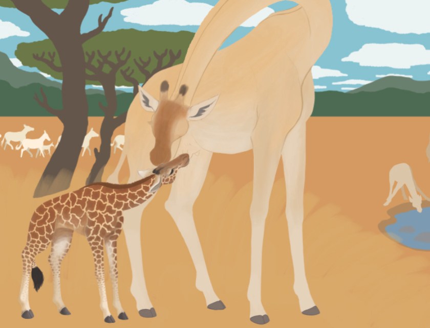 Wes- Giraffe Process Sample