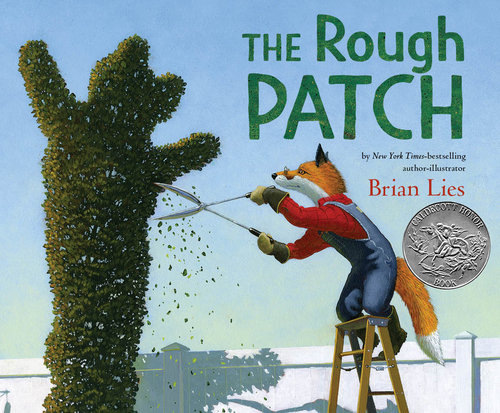 TheRoughPatch+cover+A