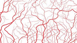 Shannontakaokawrites