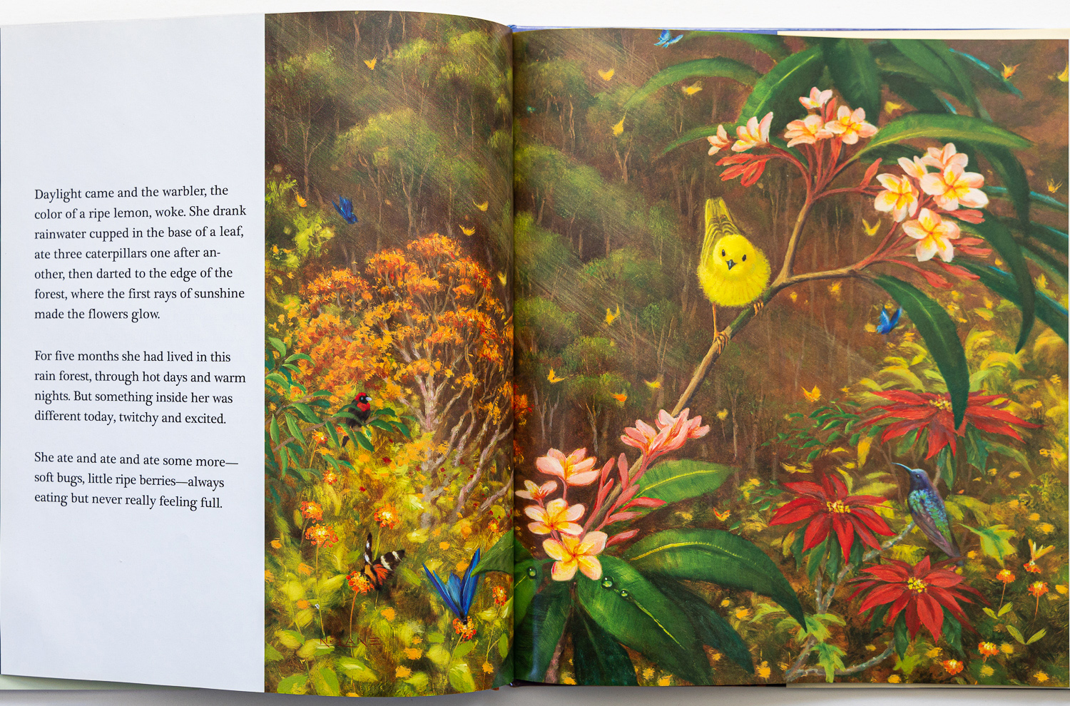 A Warbler's Journey: A Picture Book by Noted Naturalist Scott